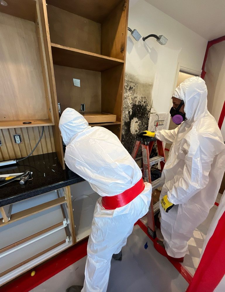 Our Mold Remediation service efficiently removes mold, ensuring a healthier home environment. We use advanced techniques to detect, eliminate spores, and prevent future growth while prioritizing safety and peace of mind. for ACM Environmental in Salt Lake City, UT