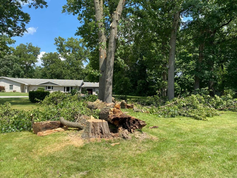 Emergency Storm Work for Highborn Tree Service in Wheatfield, IN