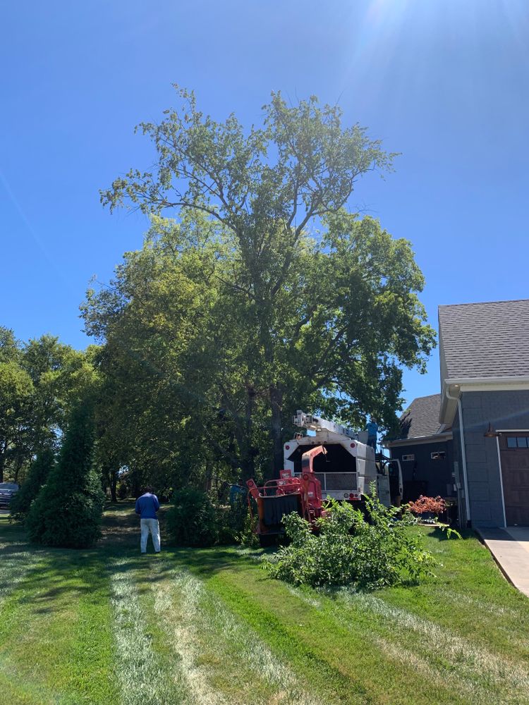 All Photos for Optimum Tree Service And Landscaping in Bowling Green, KY