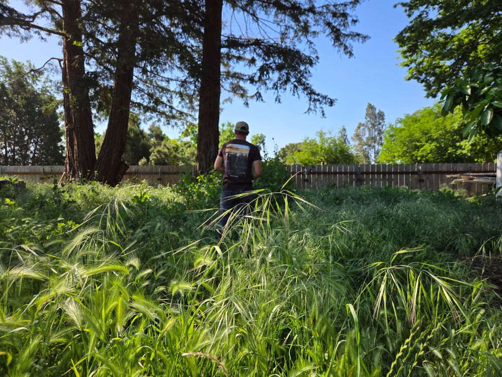 Gregg Yard Maintenance team in Paradise, CA - people or person