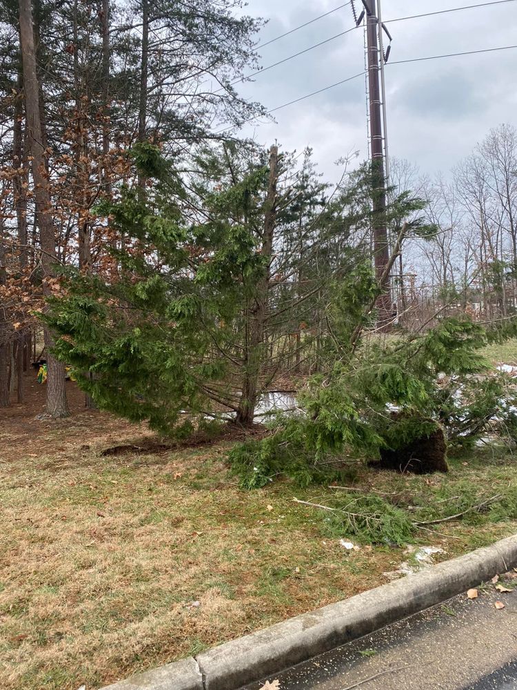 All Photos for Mountainside Property Services LLC in Warrenton, VA