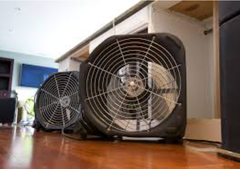Our Structural Drying service efficiently removes moisture from your home, preventing further damage and mold growth, ensuring a safe and healthy environment for your family after water-related incidents. for All Clear Restoration in Clallam County, WA