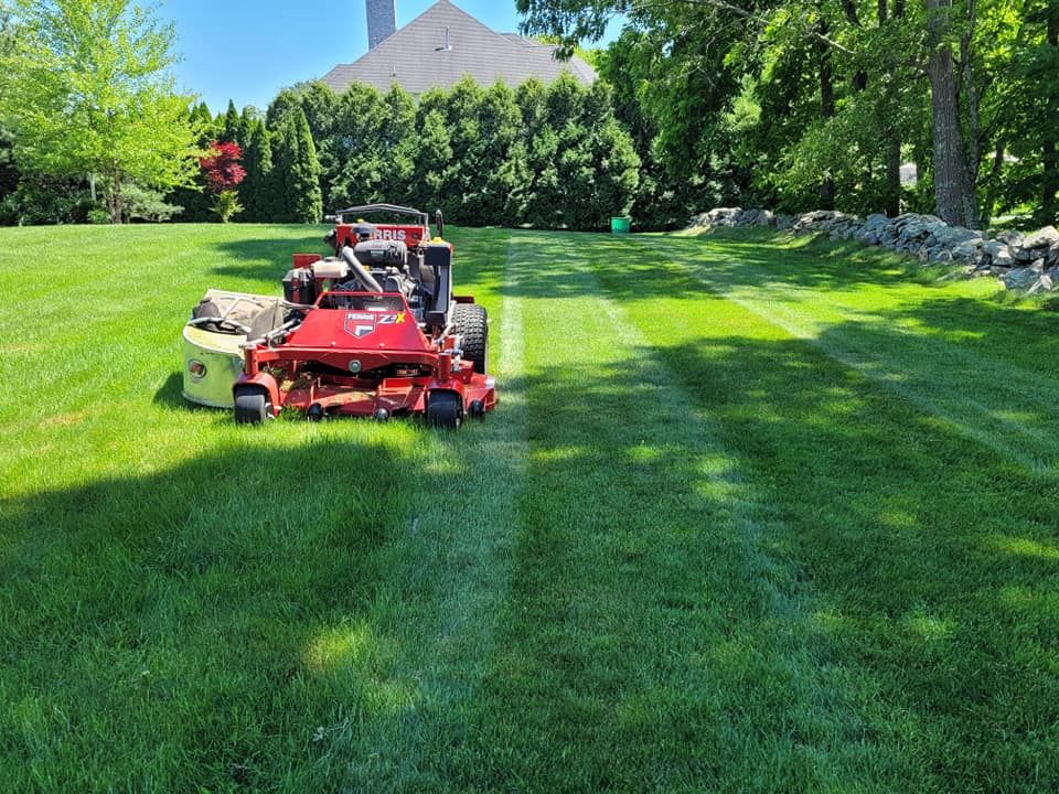 Lawn Care for Reyky Landscaping & Masonry LLC in Providence,  RI