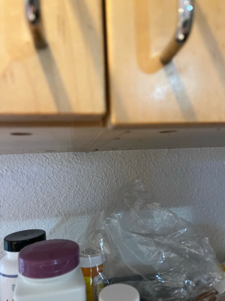 All Photos for Tony's Remodeling & Painting in Renton, WA