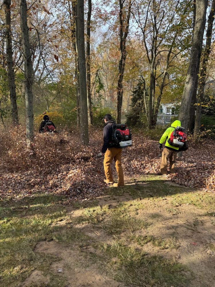 Fall Clean up & Leaf Removals for Ace Landscaping in Trumbull, CT