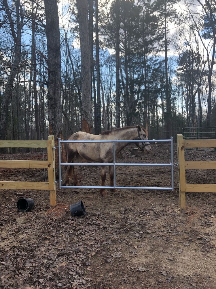 All Photos for Advanced Fencing Solutions in Camden, SC