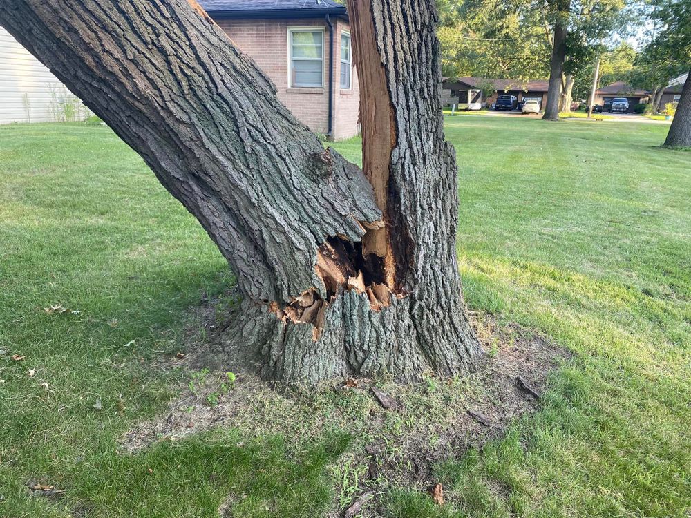 Emergency Storm Work for Highborn Tree Service in Wheatfield, IN