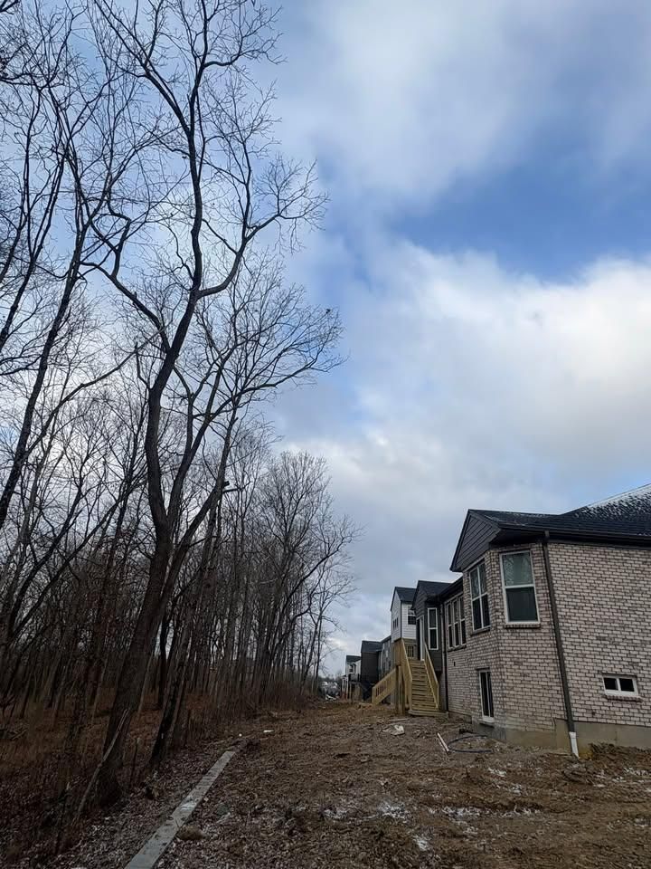 All Photos for Dig-It Tree Company in Mason, OH