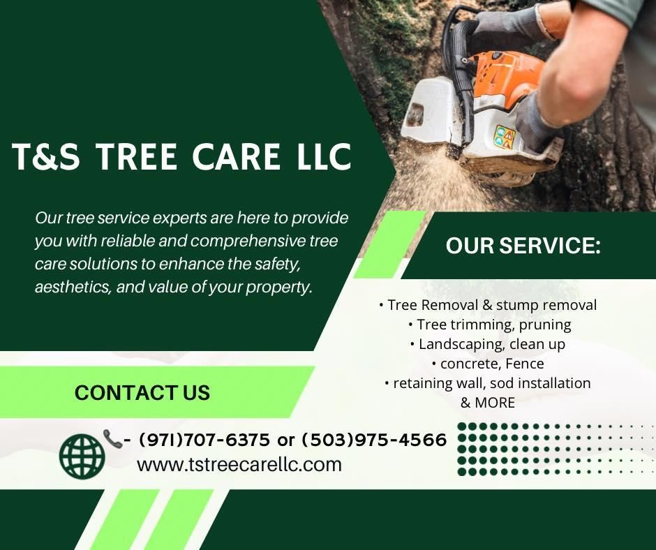 All Photos for T&S Tree Care LLC in Portland, OR