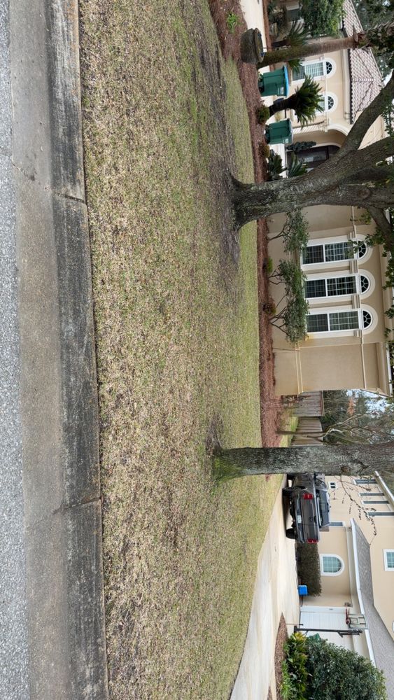 All Photos for ZP Enterprises in Pensacola, FL