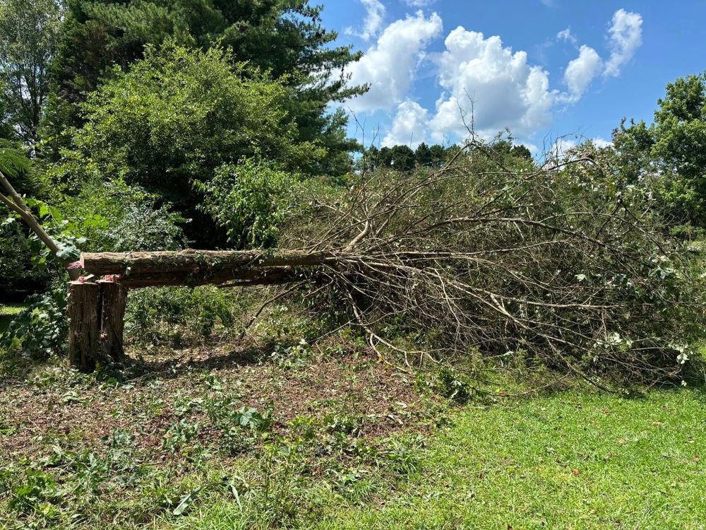 Tree Services for Total Tree Care in Erwin, North Carolina