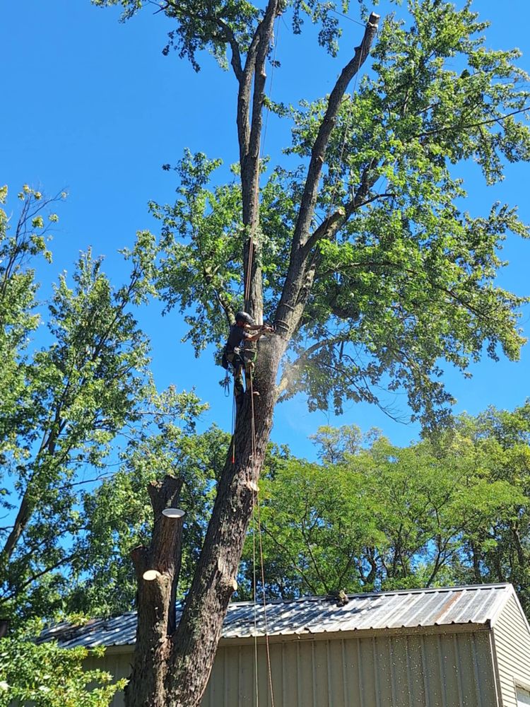 All Photos for Highborn Tree Service in Wheatfield, IN