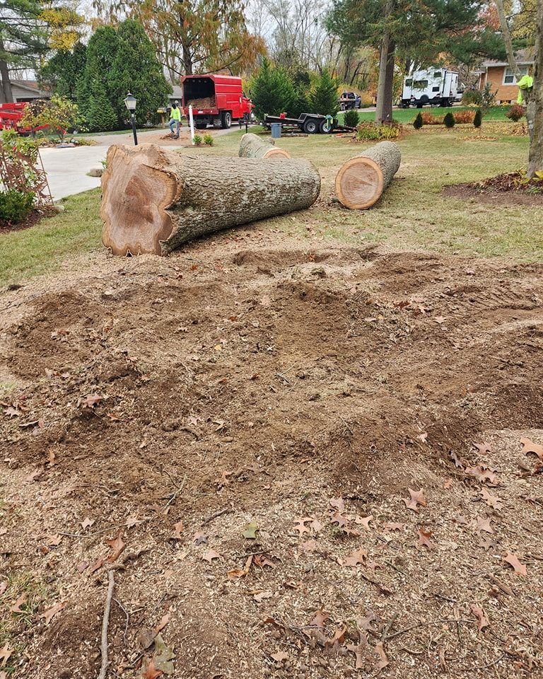 Tree Trimming and Removal for F & F Tree Service in Beavercreek, OH