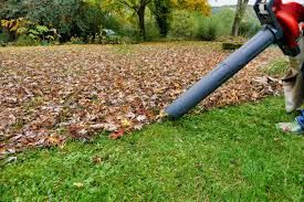 Our Leaf Clean Up ensures your yard stays pristine with thorough fall and spring clean up services, removing leaves effectively to maintain a healthy lawn and enhance your property's curb appeal. for Elevate Tree Care in Gillette, WY