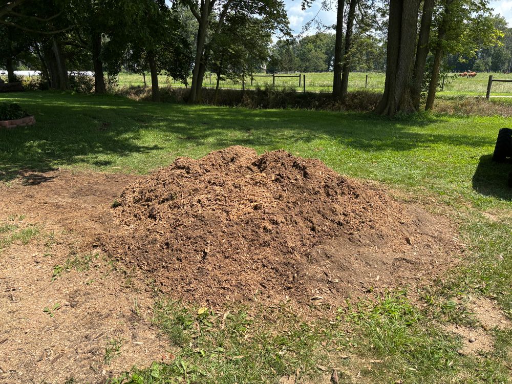 All Photos for Conrad's Stump Removal in Columbus, IN