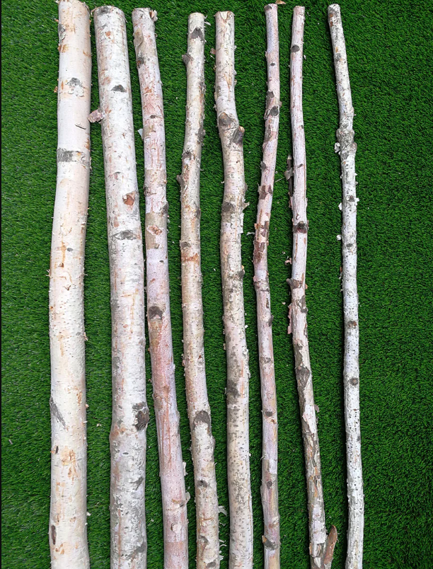 Enhance your home with our Birch Poles, offering natural beauty and versatility for creative decor or landscaping projects. Pre-cut to perfection, they're ideal for any indoor or outdoor design inspiration. for Spring Creek Evergreens in Red Wing, MN