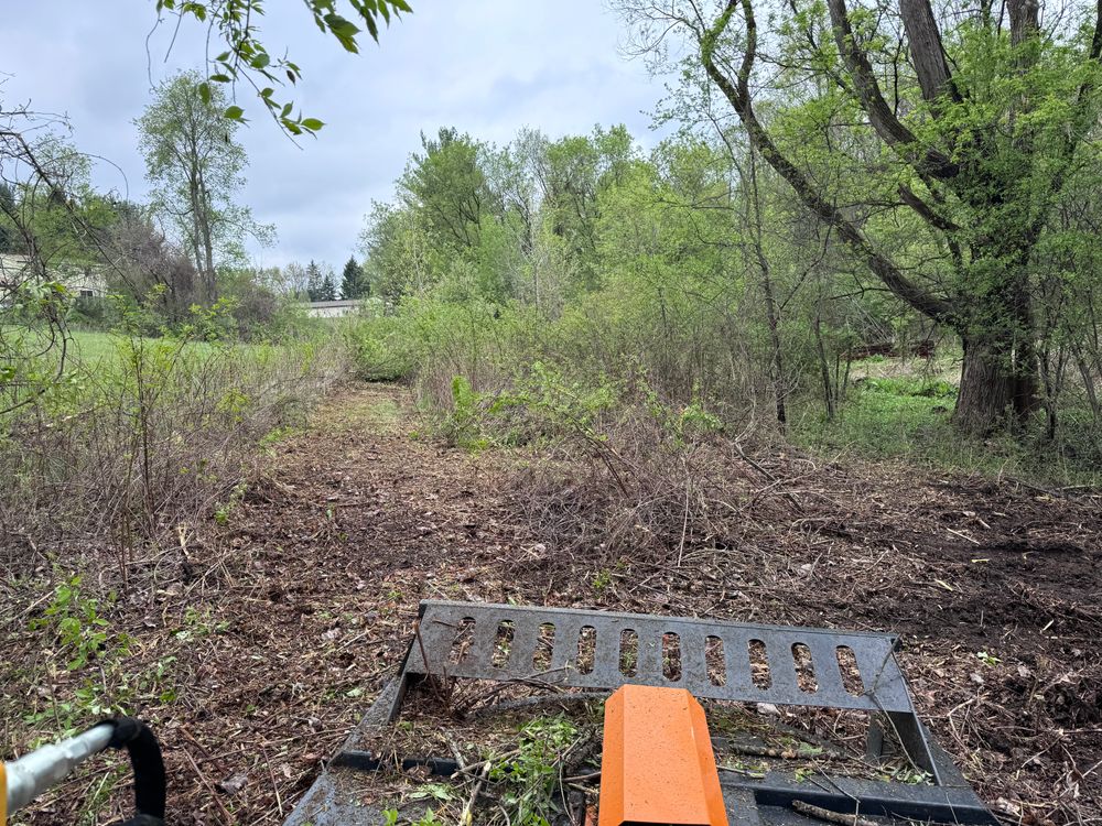 Brush Hog Services for Steed's Lawn and Landscape LLC in White Lake, MI