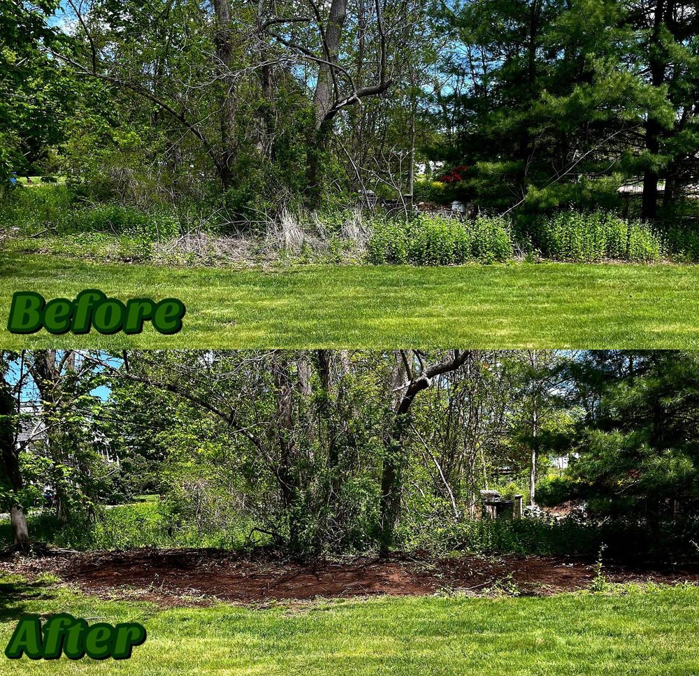 Fall Clean Up for Fryer Lawn & Landscape LLC in Southington, CT