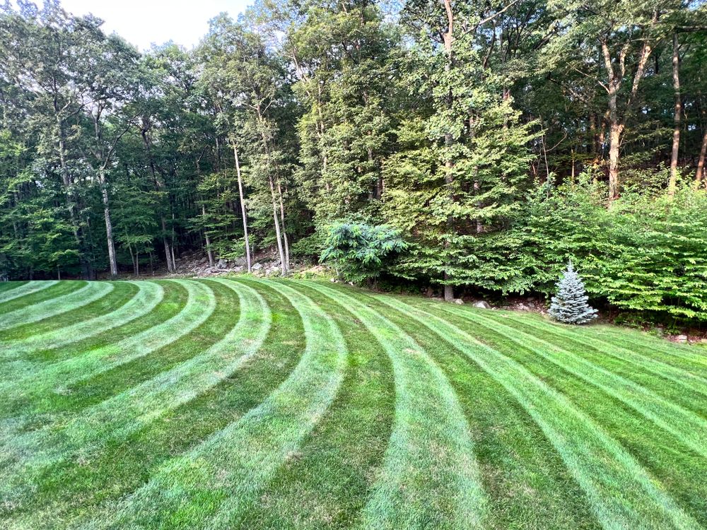 Lawn Care for LJ Lawn & Property Maintenance, Inc. in Cold Spring, New York