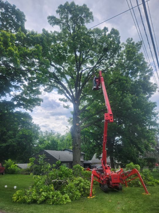 All Photos for Lawn Ranger Yard And Tree Service LLC in Ottumwa, IA