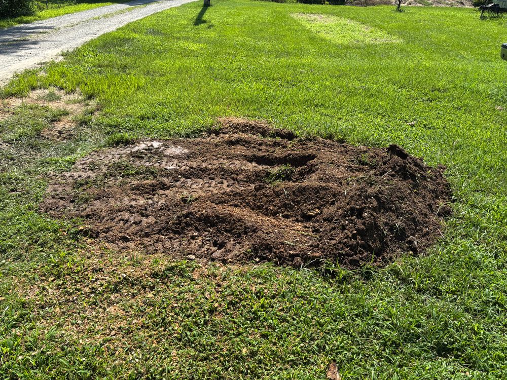 All Photos for Conrad's Stump Removal in Columbus, IN