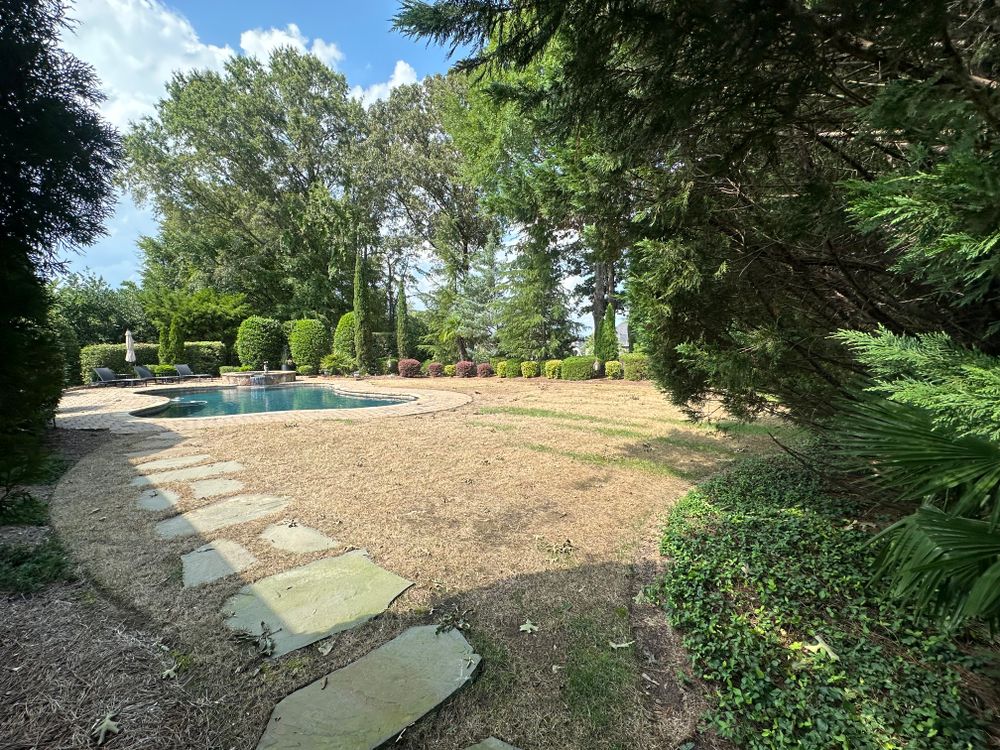 All Photos for Pecina Pine Needles in Monroe, NC