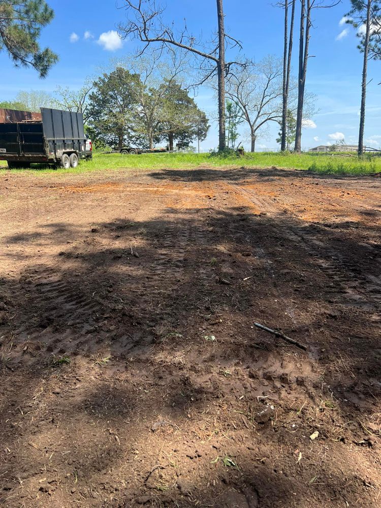 Tree Removal for Thompson Forestry Mulching & Stump Grinding in Douglas, GA