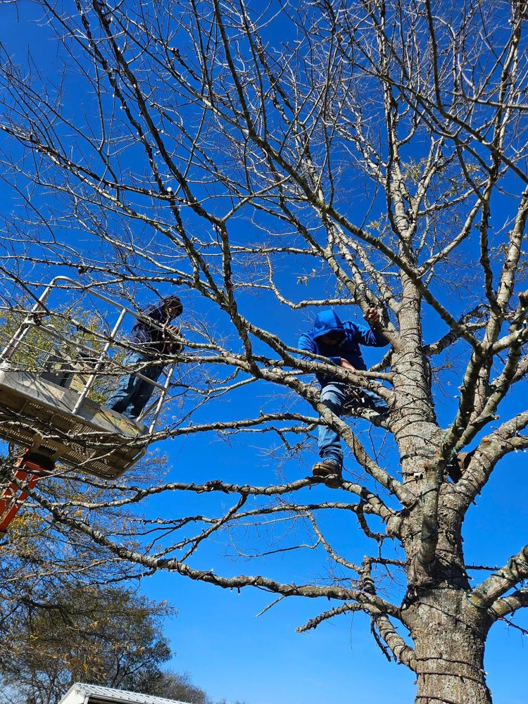 Mowing for Ornelas Lawn Service in Lone Oak, Texas