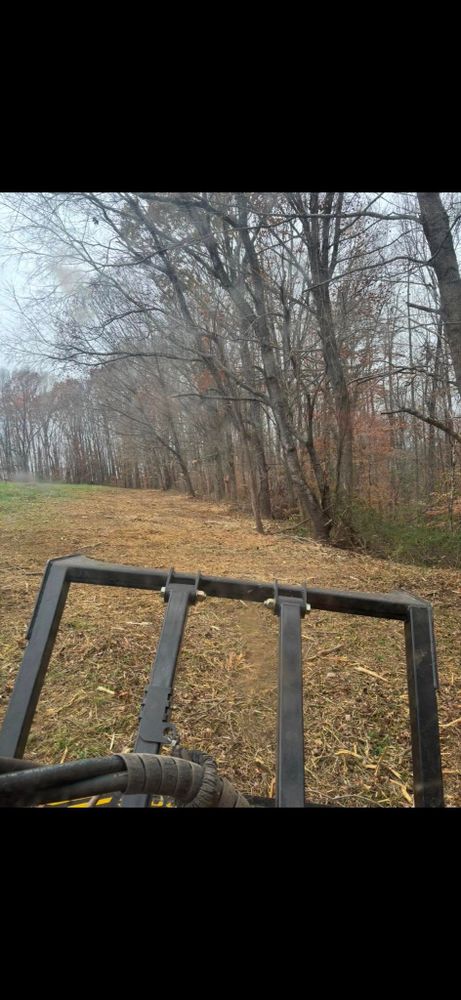 Land Clearing for Gregory Grass and Land in Lafayette, TN