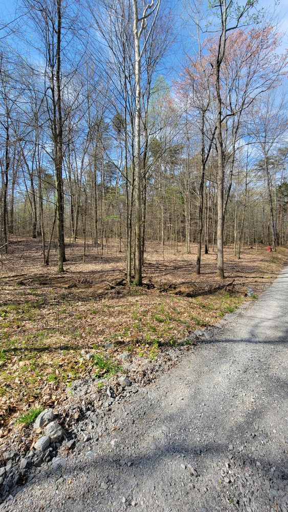 All Photos for Z's Land Management & Forestry Mulching in Smithville, TN