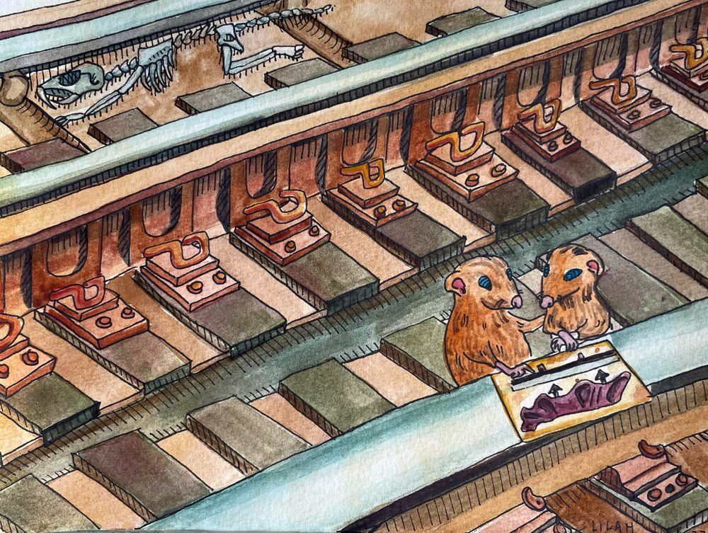 All Photos for Made by Lilah  in New York, NY