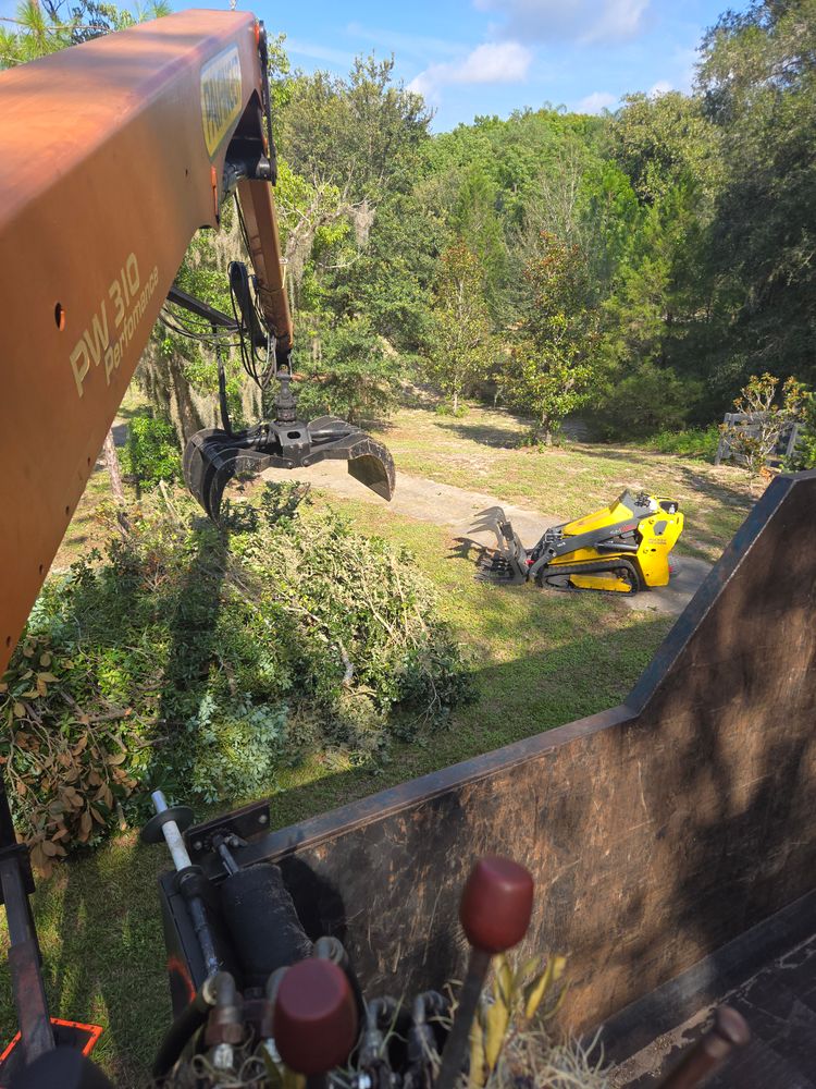 All Photos for Near Me Tree Service, Inc. in DeLand, FL