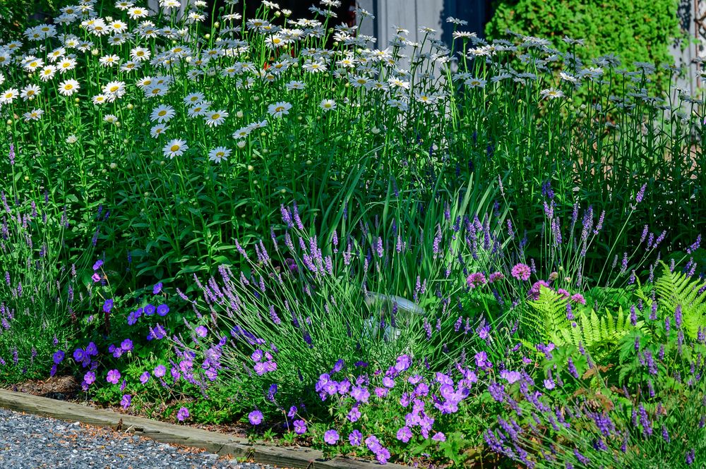 All Photos for Sustainable Lawn and Landscape in Banner Elk, NC