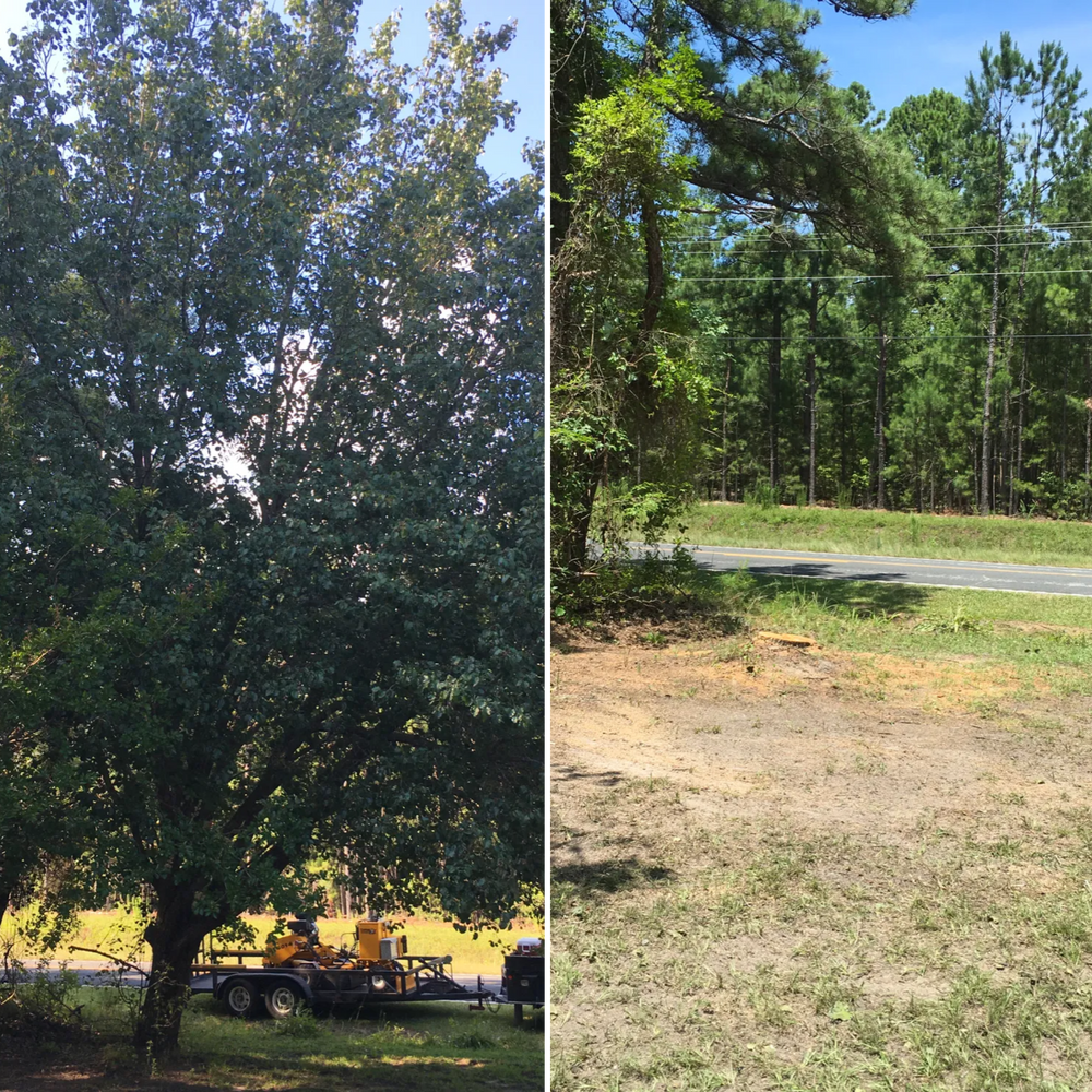 All Photos for Tucker's Tree Service and Stump Grinding in Lugoff, SC