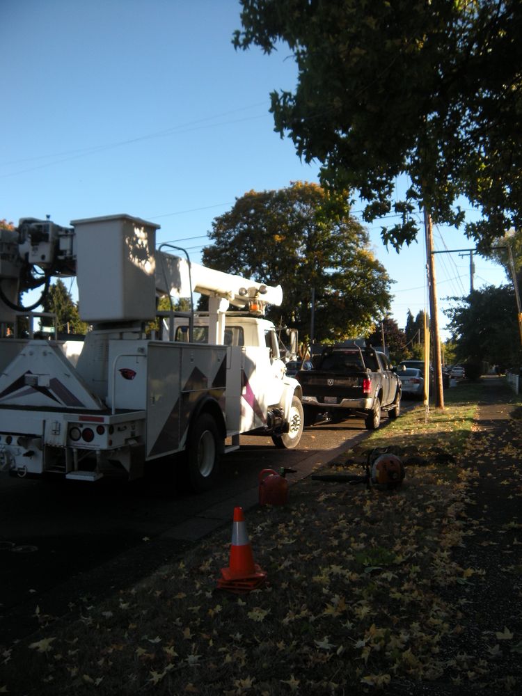 All Photos for Willamette Landscaping and Tree Services in Albany, OR