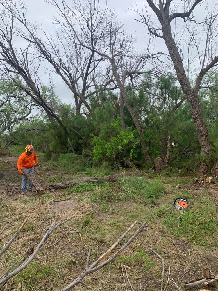 All Photos for Braun Tree Service in Cameron, TX