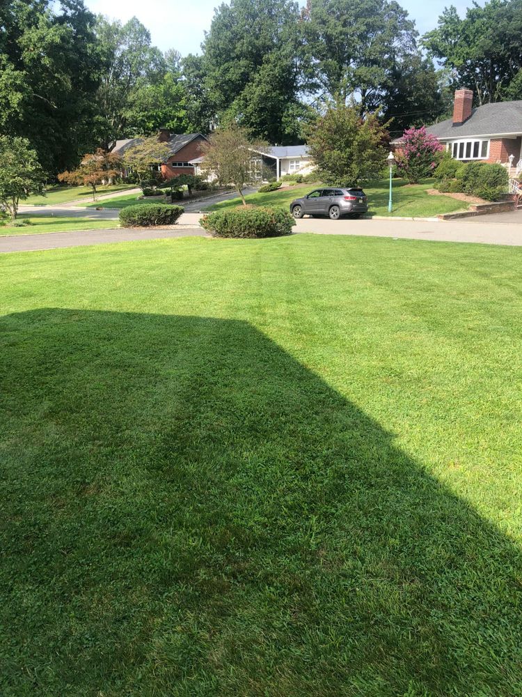 Enhance your lawn's health with our professional aeration service, improving soil compaction and nutrient absorption. experience a lush, vibrant yard that's more resilient to heat and drought conditions. for Castro Landscaping in Orange, NJ