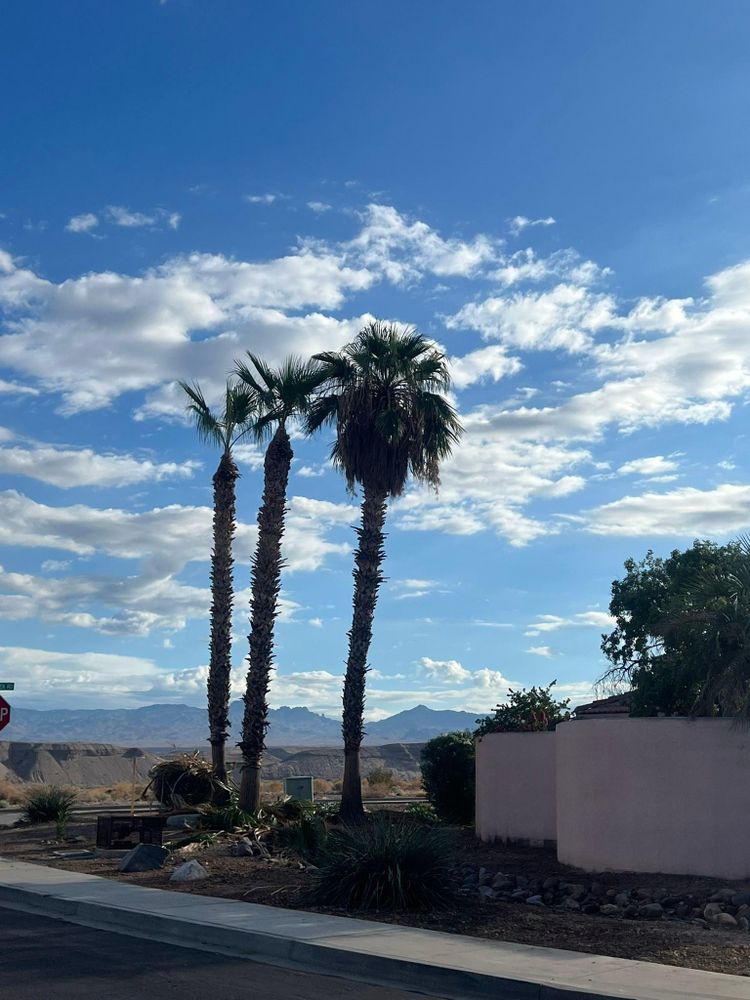 All Photos for Top Notch Landscape Services LLC in Mohave Valley, AZ