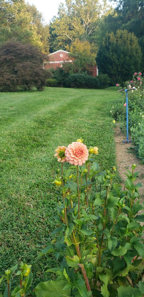 Hardscaping for Clean Cut Lawns & Landscaping in Dickerson, MD