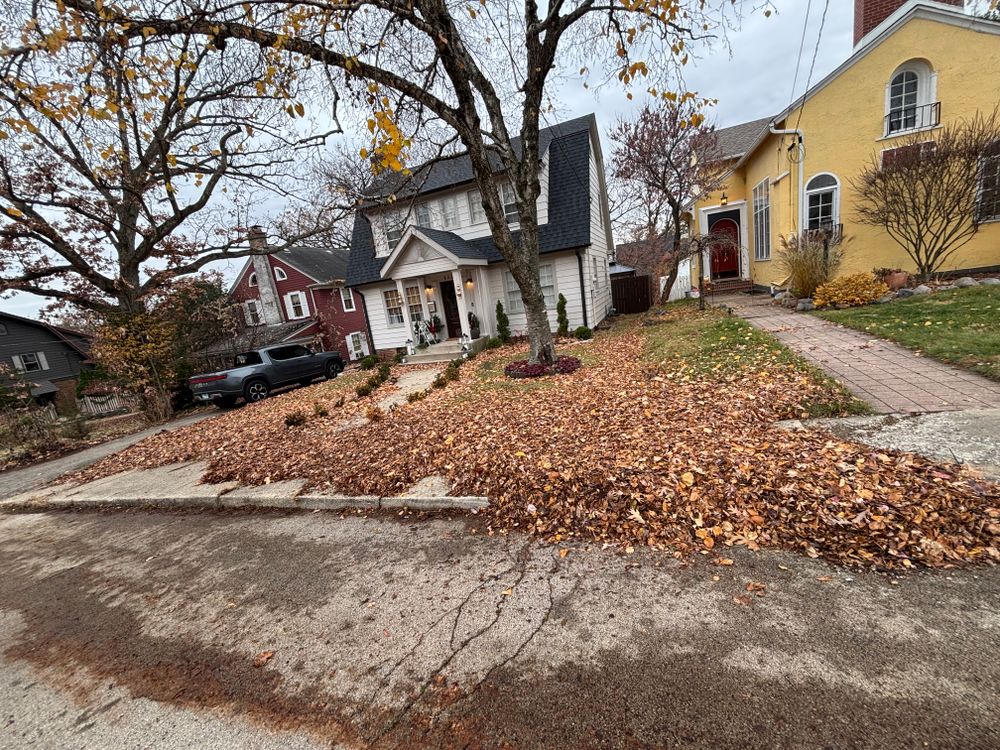 All Photos for Cena Landscaping in Rockford, IL