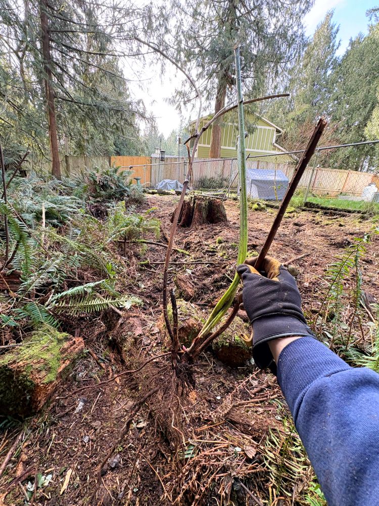Fall Clean Up for Golovin Property Services LLC in Marysville, WA