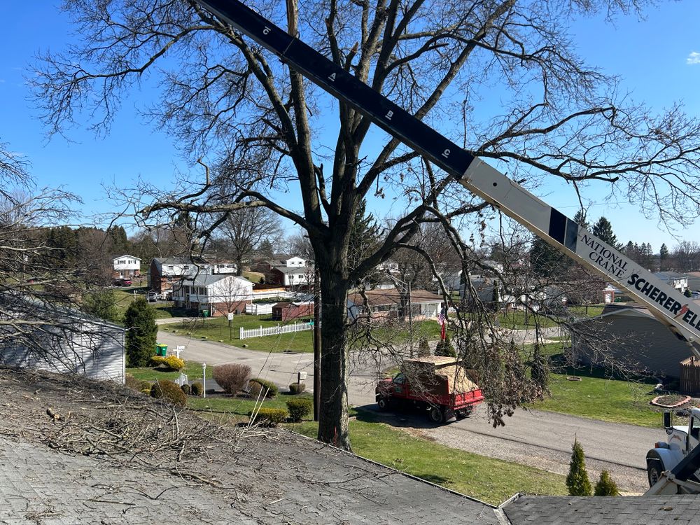 Emergency services  for JJ Tree Service in Gibsonia, PA