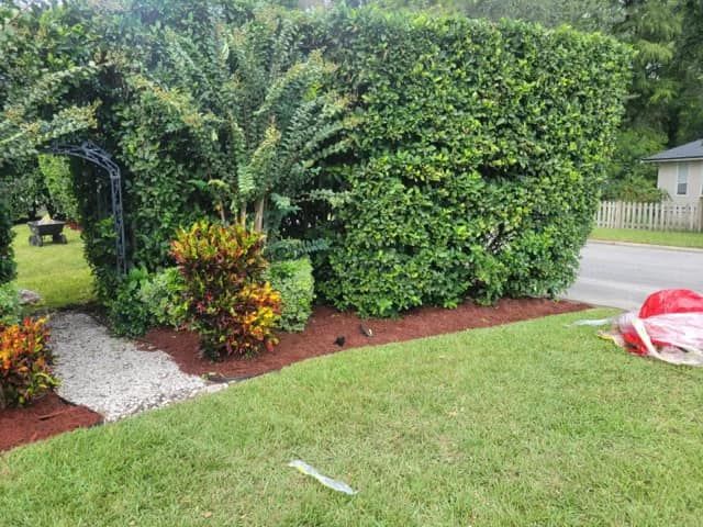 Maintenance for Lawns By St. John in North East, Florida