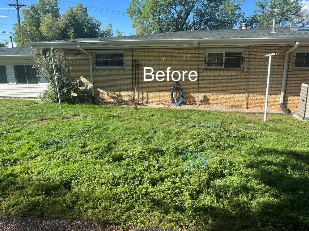 Fall and Spring Clean Up for Top of The Edge Landscape in Peyton,  CO