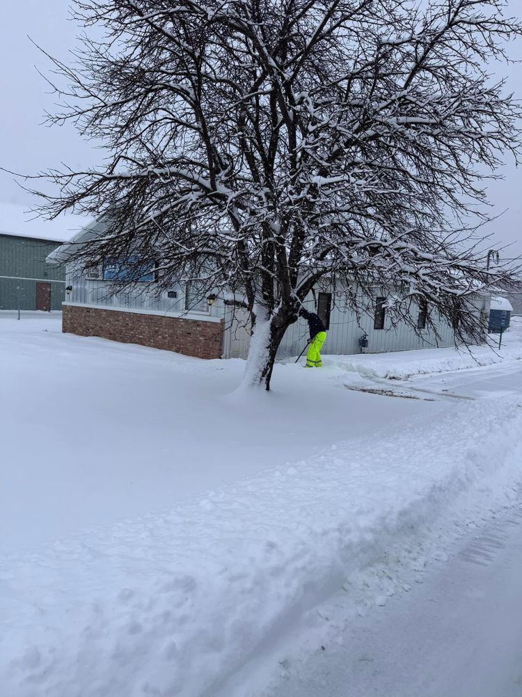 All Photos for K and Z Tree Care in Isanti County, MN
