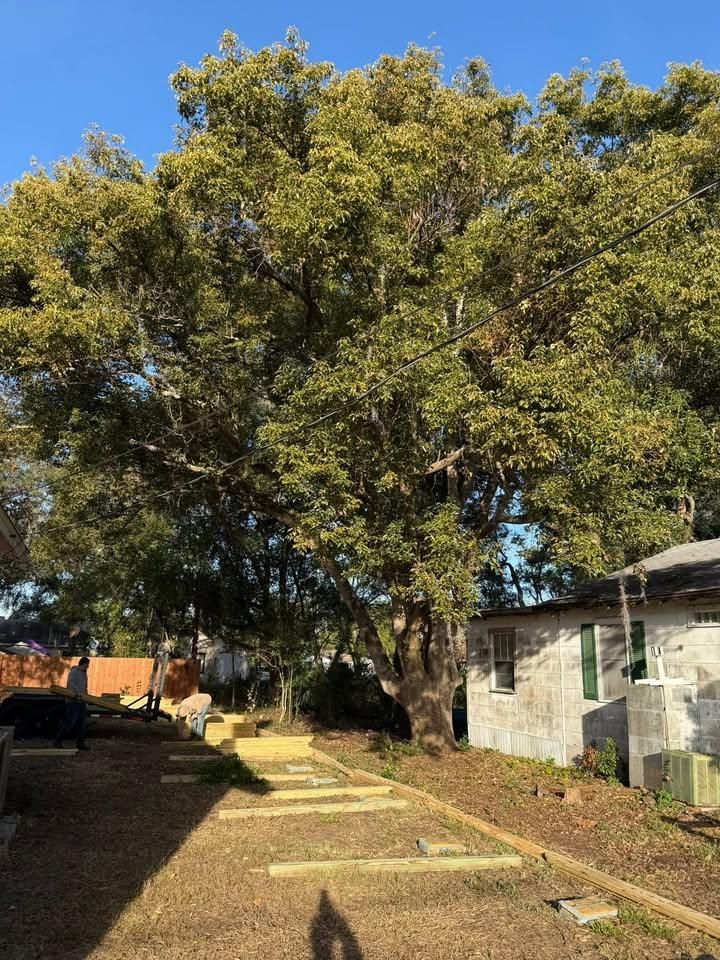 All Photos for Nettles Fence in Lake County, FL