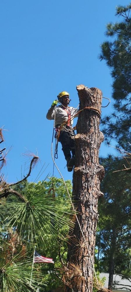 All Photos for Tucker's Tree Service and Stump Grinding in Lugoff, SC