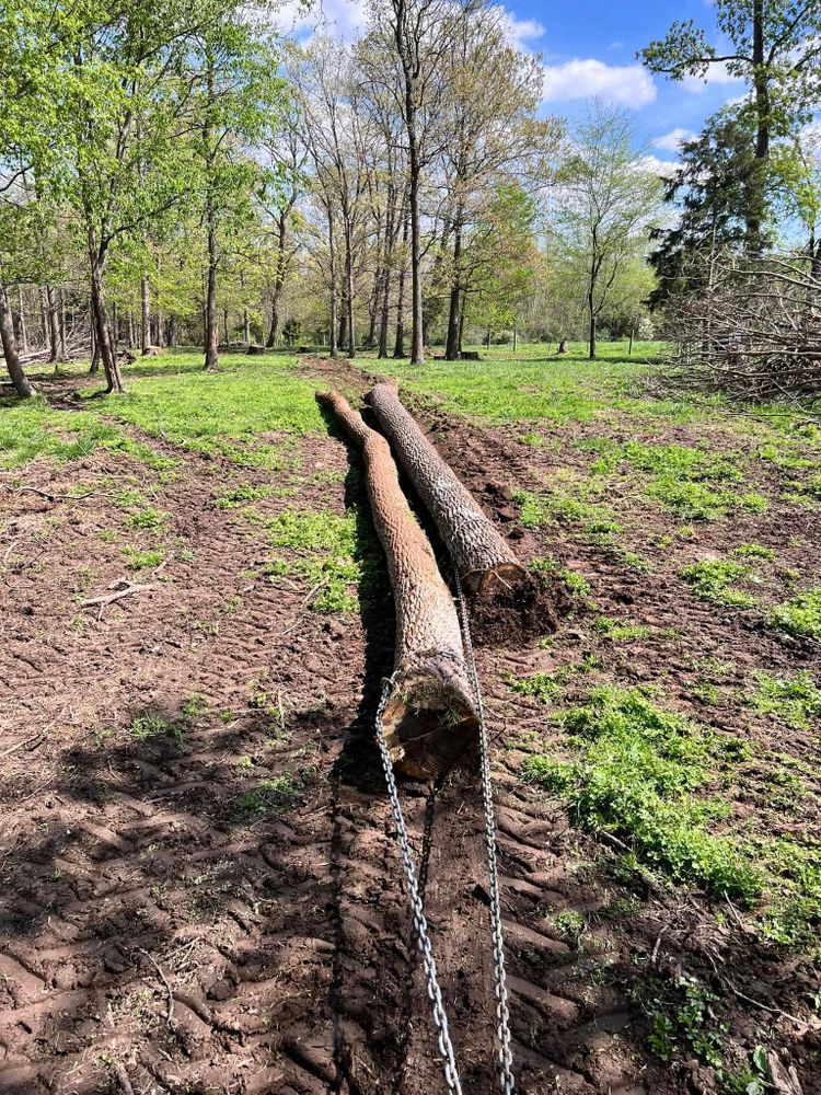 Tree Services for Kadin’s Tree Service in North Vernon, IN