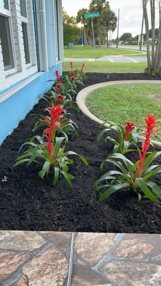 Landscape Enhancements for Space Coast Property Maintenance and Management LLC in Melbourne, FL