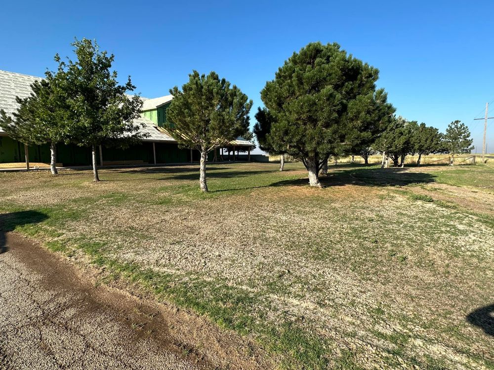 All Photos for R&J Hydromulch in Booker, TX